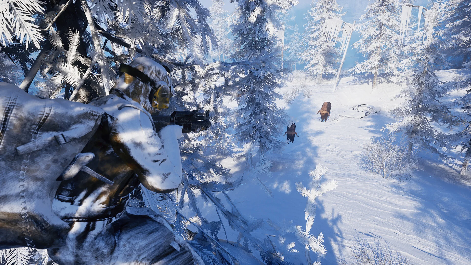 Wildlife on a snowy forest trail in Permafrost